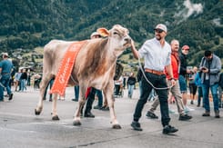 Mit rotem Band geschmückter Lebendpreis «Glarissia» wird beim ESAF 2025 stolz präsentiert.