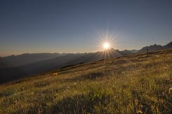 Weite Berglandschaft im Morgenlicht mit alpiner Wiese und Sonnenstrahlen über den Gipfeln des Glarnerlands