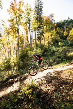 Mountainbiker herbstwald trail – GLKB