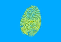 Individuelle Anlagelösung