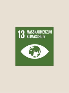 Icon für Klimaschutzmassnahmen mit Weltkugel im Augensymbol auf grünem Hintergrund