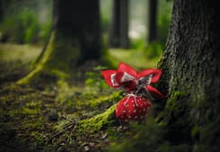 Glarner set – GLKB

