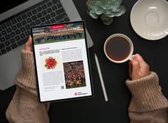 Tablet zeigt digitalen GLKB-Newsletter vom Dezember 2025 auf einem Schreibtisch mit Kaffee und Stift.