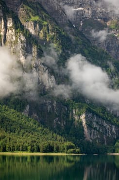 Person umarmt Baumstamm in grünem Wald als Symbol für Nachhaltigkeit.