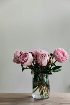Zarte rosa Pfingstrosen in einer Glasvase auf Holztisch vor hellem Hintergrund mit minimalistischer Wirkung.