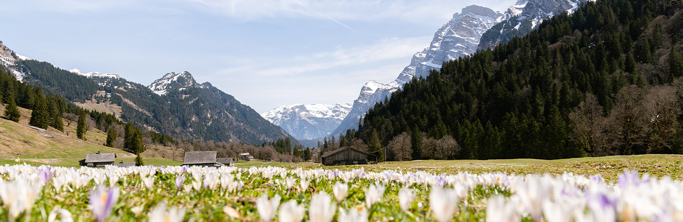 Frühling im Glarnerland